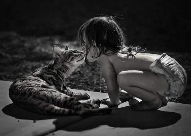 Очаровательный поцелуй маленькой девочки и ее котика.