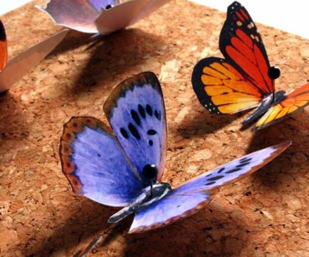 Как сделать бабочку своими руками — 5 мастер-классов