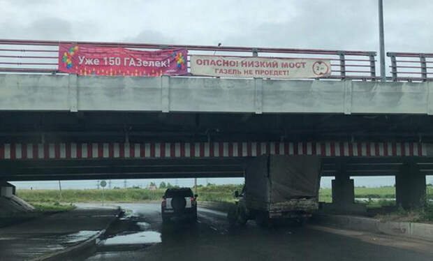 156-я жертва питерского моста глупости 156-я жертва питерского моста глупости