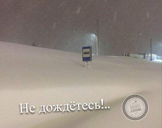 Не дождетесь!..