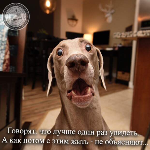 Один раз увидеть