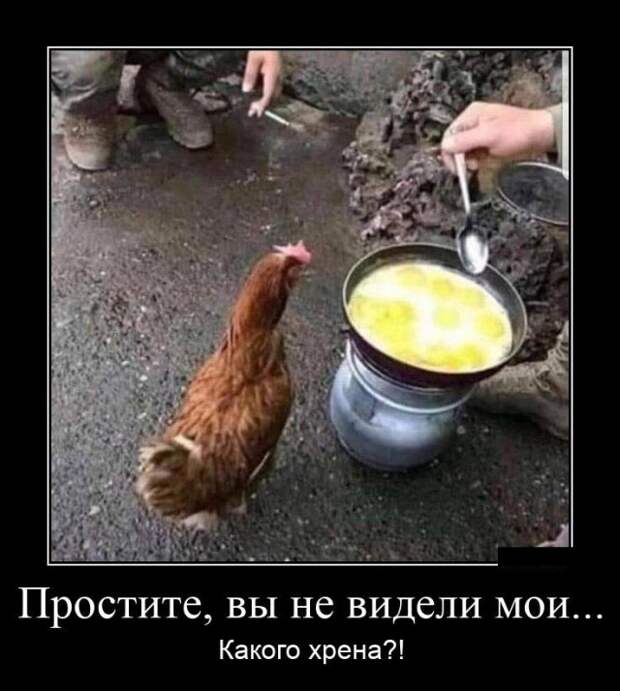 Демотиваторы (20 фото)