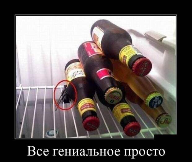 Демотиваторы (20 фото)