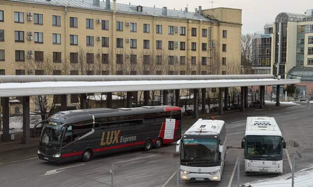Комитет по транспорту: из Петербурга запустят автобусные рейсы в Ташкент