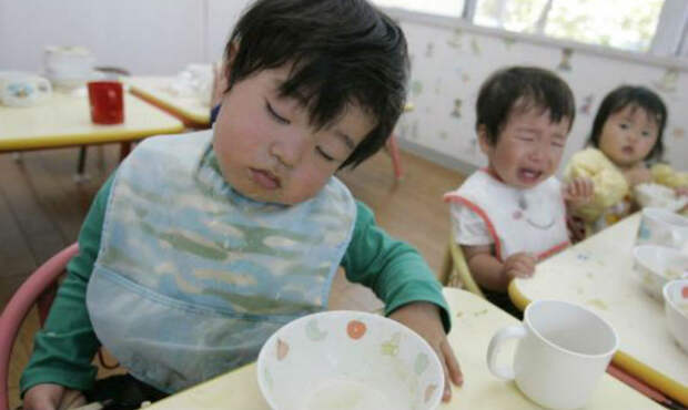 Рис и рыба как часть образования: как японских детей учат правильно питаться