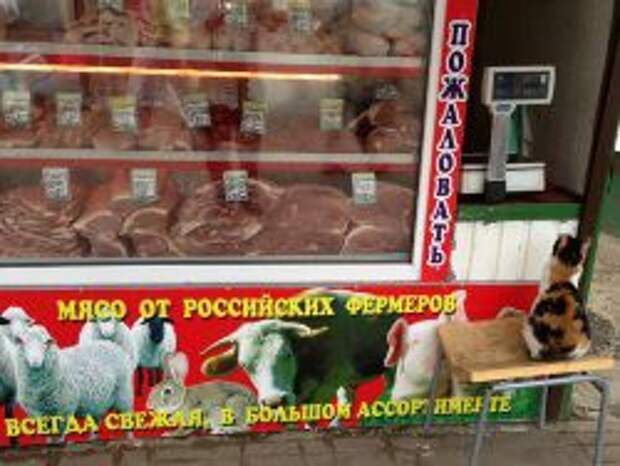 Эксперты: резкого роста цен на продукты в РФ не ожидается Эксперты: резкого роста цен на продукты в РФ не ожидается