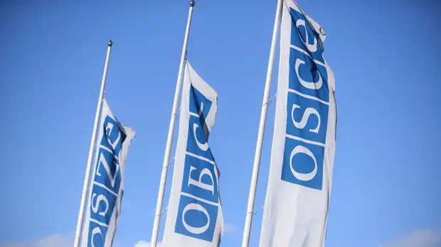 Экс-посол США призвал исключить Россию из ОБСЕ