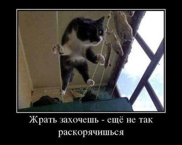 original(2)