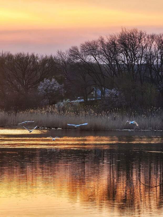 Закат на Нижней Крынке