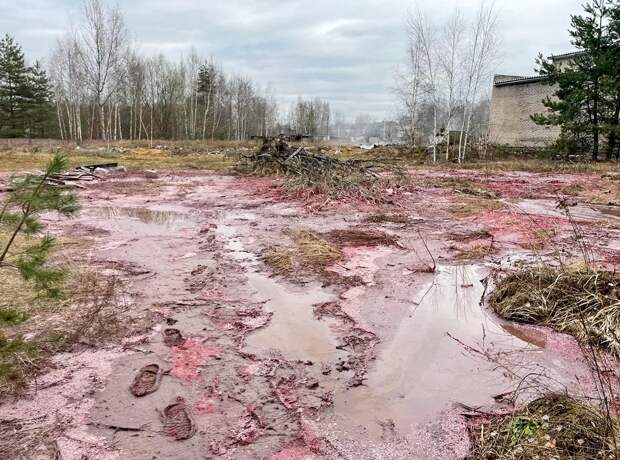 Апрельский разлив химикатов в Петушках обернулся уголовным делом