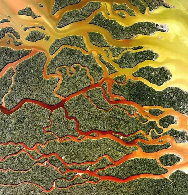 4. Национальный парк Эверглейдс, США Бенджамин Грант, земля, природа, фото со спутника, фотография, фотомир