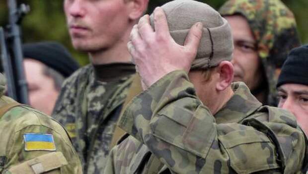 Чудовищная клоака: в Сети показали лагерь для бусифицированных украинцев (ВИДЕО) | Русская весна