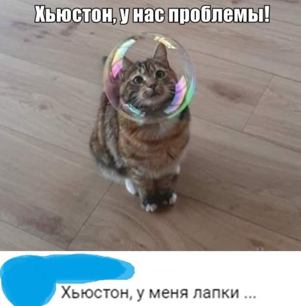 Подборка картинок. Вечерний выпуск (25 фото)
