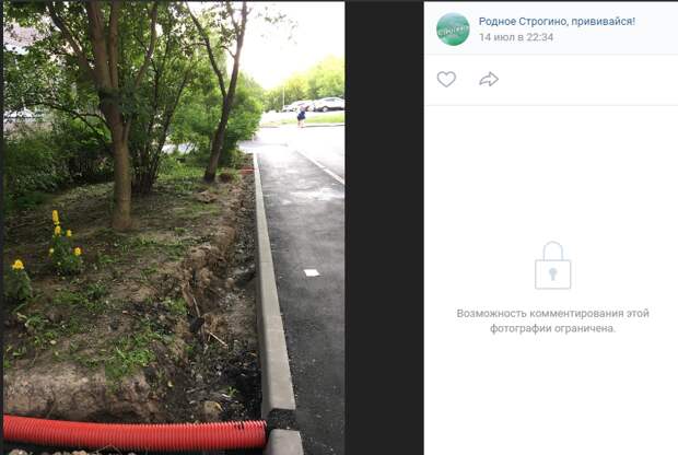 На улице Маршала Катукова забыли закрыть грунтом корни деревьев