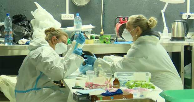 Борьба за каждую жизнь! В Анапе спасают пострадавших птиц: как проходит реабилитация