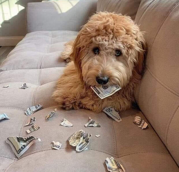 dltDQo2U9UM (700x673, 392Kb)