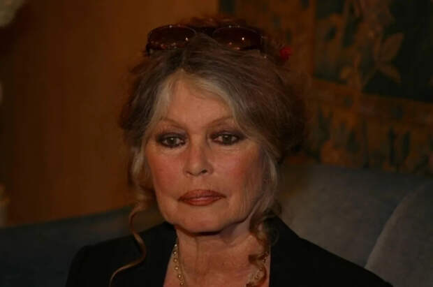 Добровинский: Брижит Бардо говорила по-русски и называла Путина героем