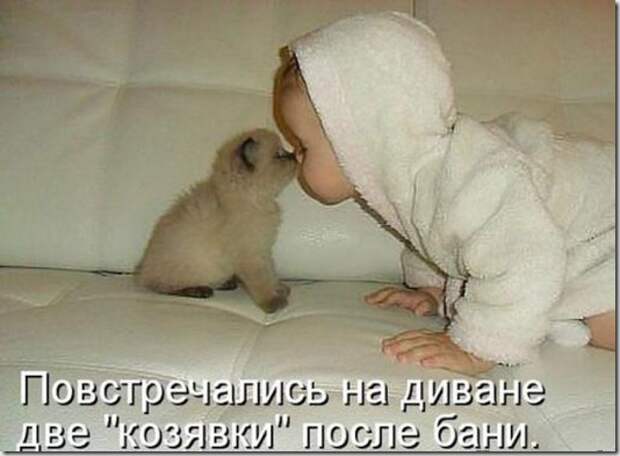 54589c9375a259fa84f771411ee_prev