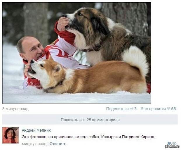 Подборка разных приколов