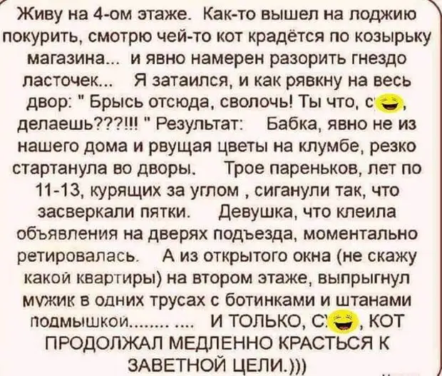 Синдром Золушки внезапен, жесток и беспощаден. Встала ночью водички попить, хотела вытереть пятно со стола и вымыла всю кухню... морозы, Доктор, галлюцинаций, звонит, полиция, страдаю, который, только, дворе, когда, прямо, собьют«Прерванный, половой, всегда, части, проезжей, Уйдите, плохо, особенно, доктор