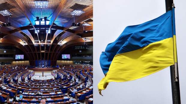 Политолог рассказал о провале «демарша Украины» в ПАСЕ
