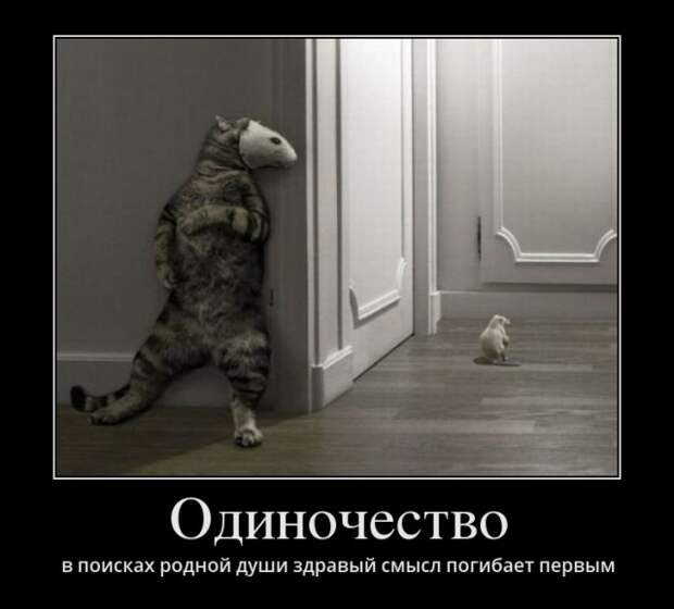 Демотиваторы