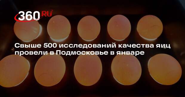 Свыше 500 исследований качества яиц провели в Подмосковье в январе