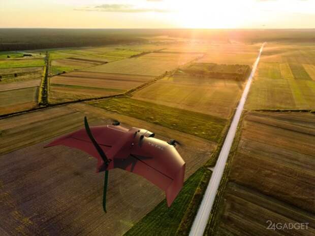 Создан дрон Vetal с фиксированным крылом и вертикальным взлетом-посадкой