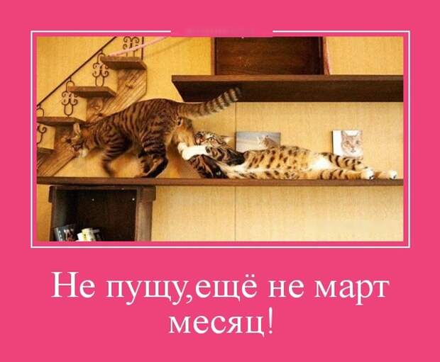 Демотиваторы (30 фото)