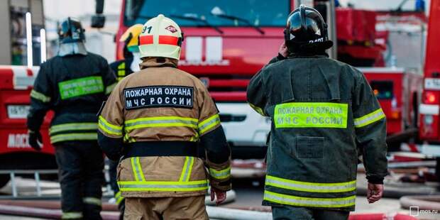 Пожарные ликвидировали загорание мусора на Дворцовой аллее