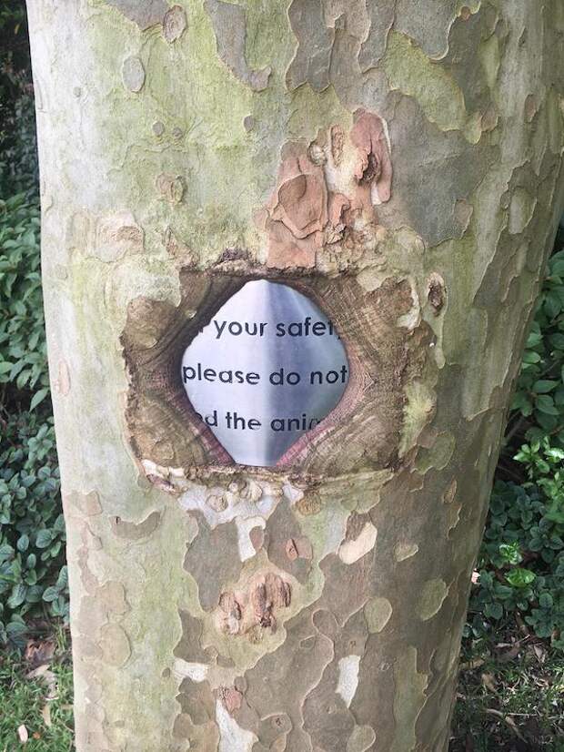 Фотография: 22 странные находки, которые вызвали у людей недоумение №12 - BigPicture.ru