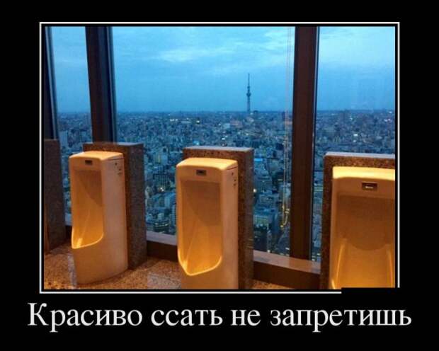 Позитивные и веселые демотиваторы для улыбки (11 фото)