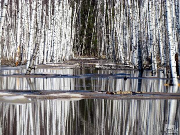 Лучшие фотографии России 2011. Номинация Природа