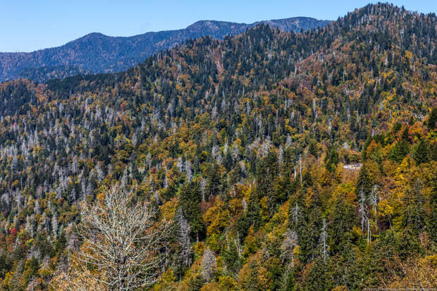 Blue Ridge Parkway