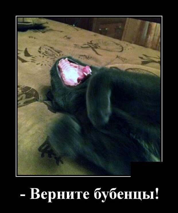 Демотиваторы (30 фото)