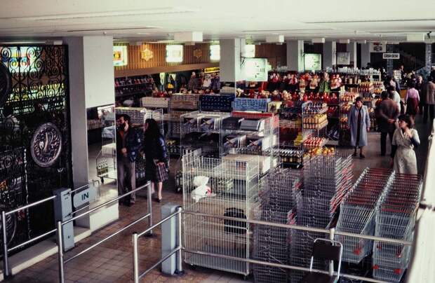 Берёзка.jpg Берёзка.jpg