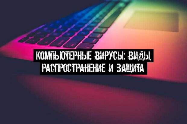 Компьютерные вирусы: виды, распространение и защита
