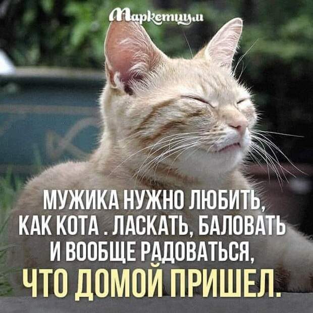 Баловать Это