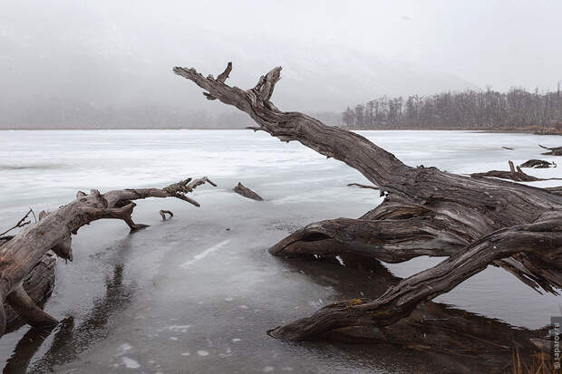 Tierra del Fuego