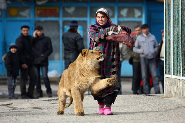 Лучшие снимки Reuters 2011