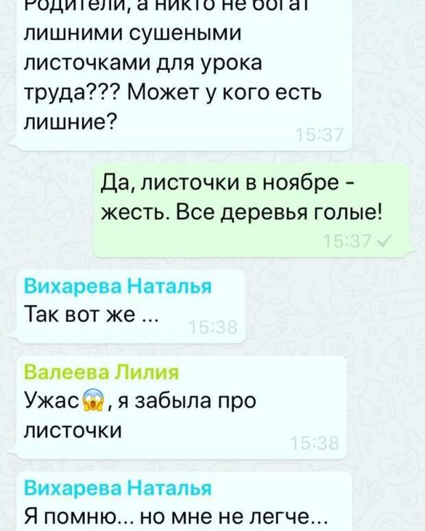 Странные родители и учителя в общих чатах