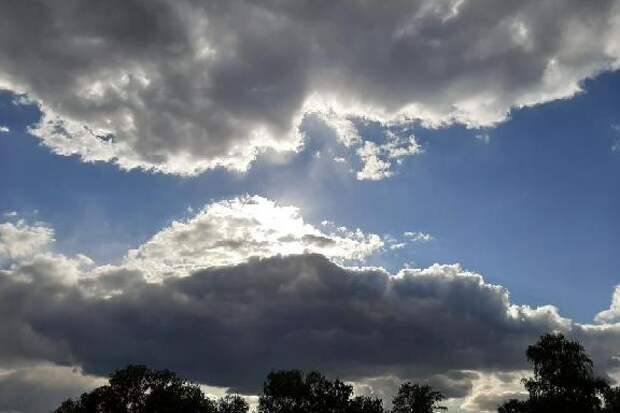 В Тамбовской области вечером 18 июля ожидается сильный ветер и грозы