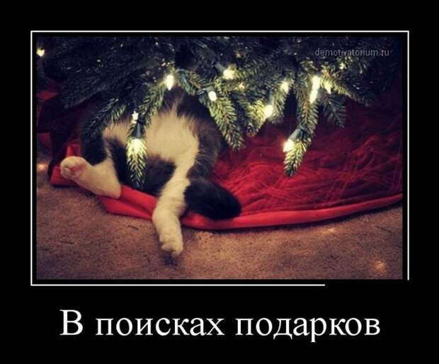 Демотиваторы демотиваторы, юмор