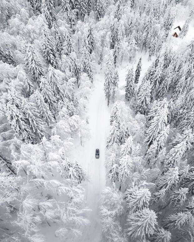 Фотография: Волшебство зимы в снежных снимках Эрика Рейнхарта №26 - BigPicture.ru