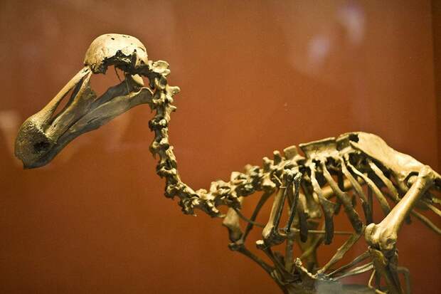 Самые интересные музеи Лондона