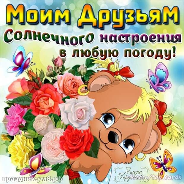 Вот кто делает безумные открытки из WhatsApp
