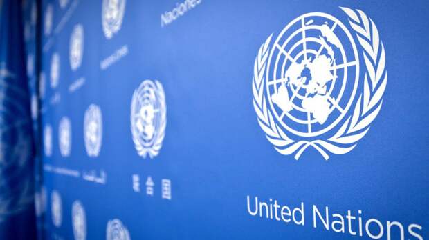 Одиннадцать стран осудили русофобию в СПЧ ООН