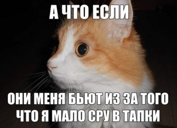Забей на дождь - смотри приколы.