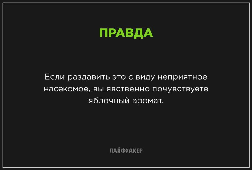 Невероятные научные факты
