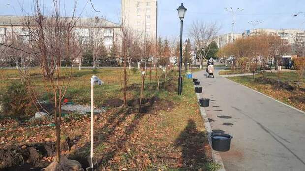 В Новосибирске разгорелся скандал из-за списка мэрии по озеленению города